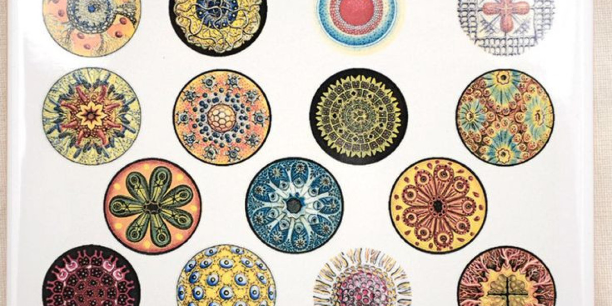 Circle Decals Guide For Daily Use And Creative Ideas