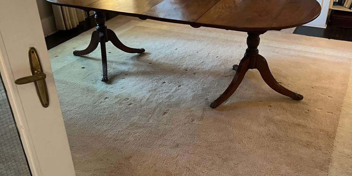 Pet Stains Won’t Come Out of Your Rug? A Toronto Pet Owner’s Guide to Choosing the Right Rug Cleaning Service