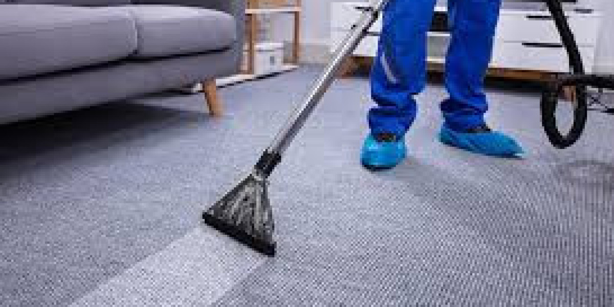 Why Carpet Cleaning Services Matter When One Carpet Covers a Large Space