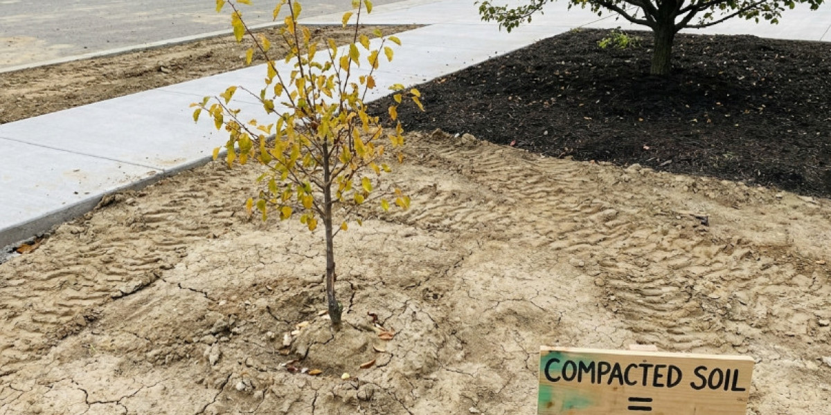 How Soil Compaction Can Limit Tree Growth After Installation