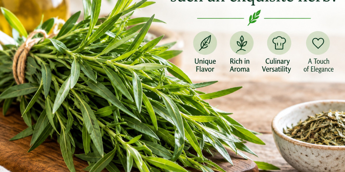 What makes the French Tarragon such an exquisite herb?